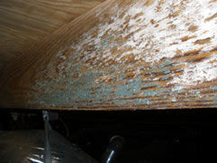 mold in crawl space