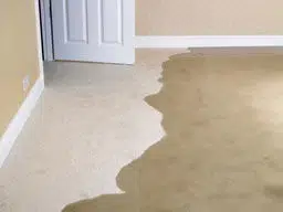 water damage in home