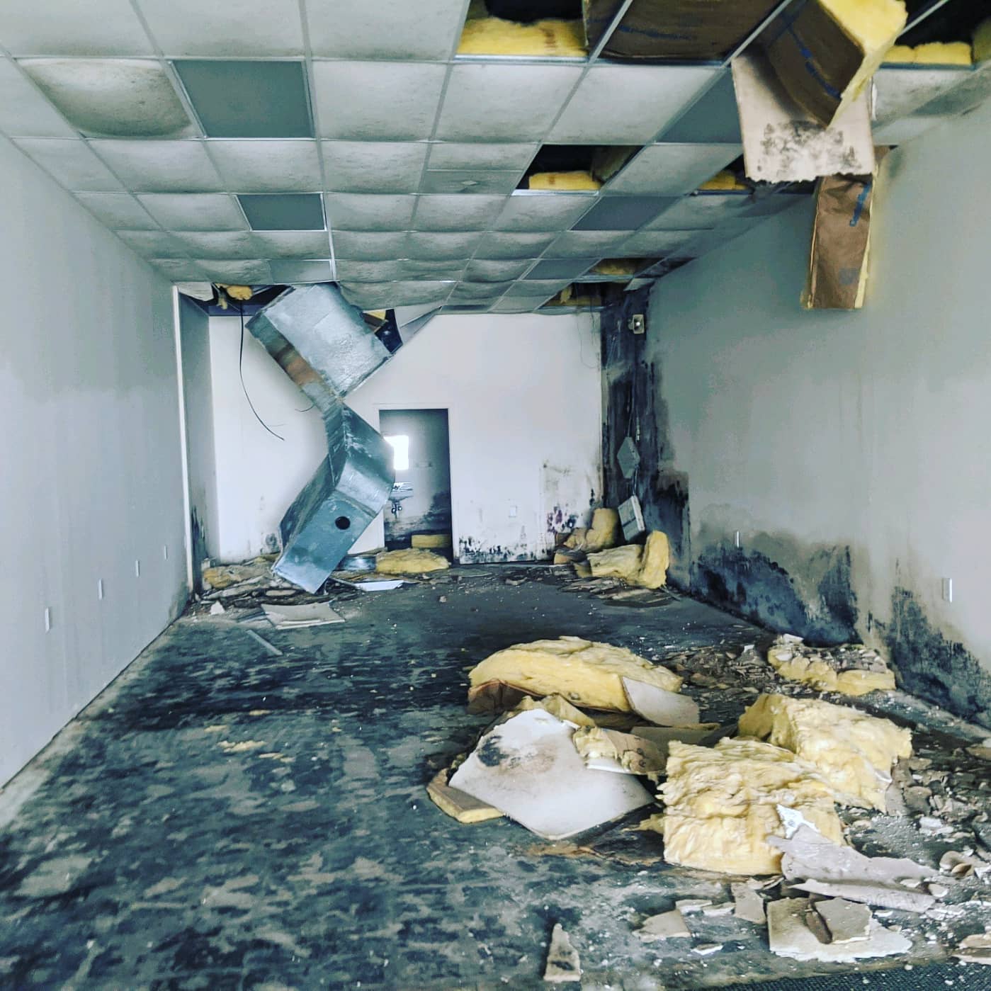 Mold-covered ductwork and drywall before remediation in commercial unit