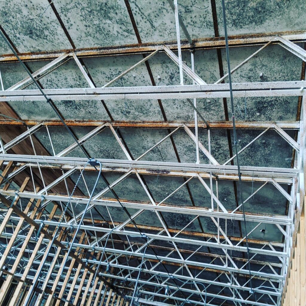Commercial Mold Before Picture. Mold Growing on Ceiling and walls.