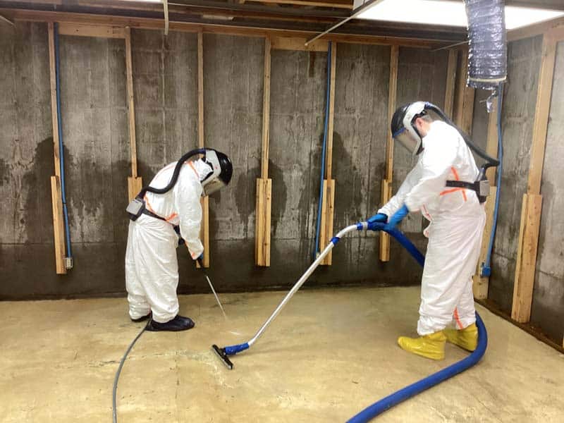 Emergency Water Cleanup in Action