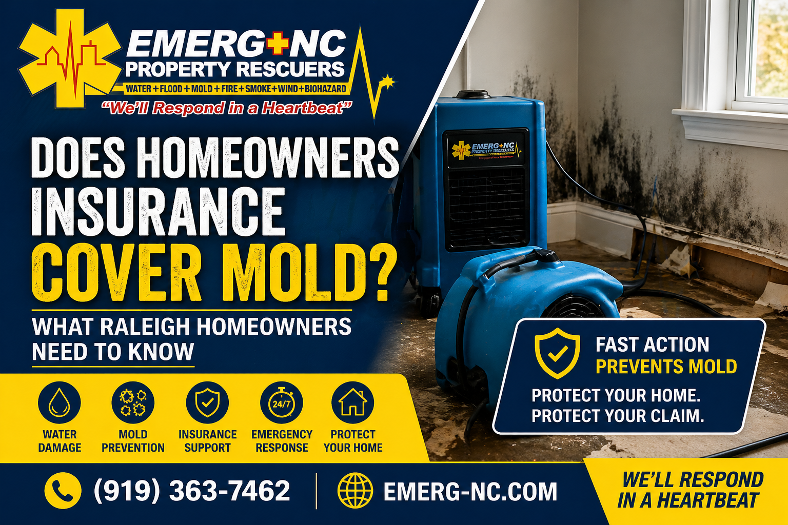 does homeowners insurance cover mold raleigh nc water damage restoration drying equipment preventing mold