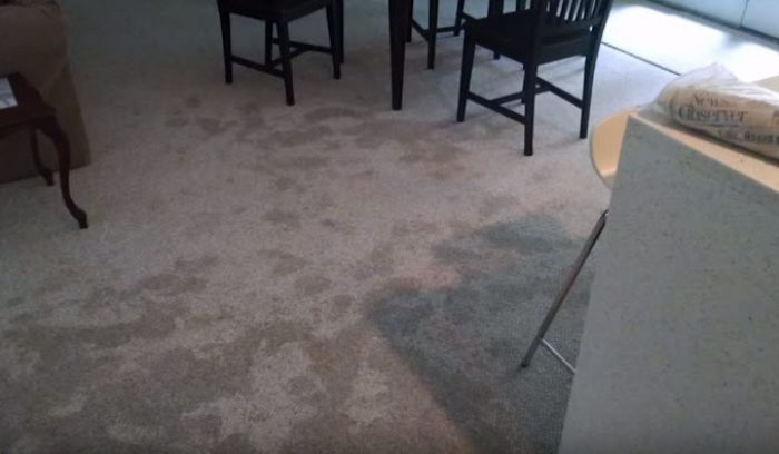 (alt="water damage, carpet damage")