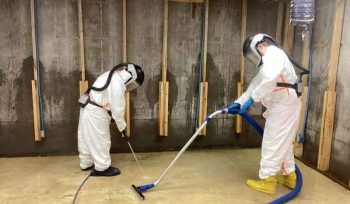 Emergency Water Cleanup in Action