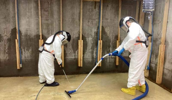 Emergency Water Cleanup in Action