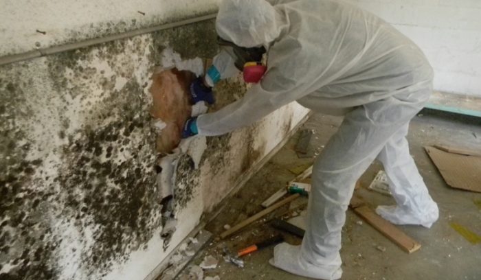 Mold-Removal-Remediation-Kahului-Maui-2