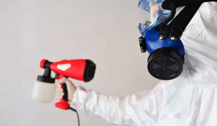 Mold Removal