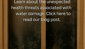 Interior wall cavity with visible mold growth behind removed drywall illustrating the health risks of water damage, featuring the EMERG+NC Property Rescuers logo