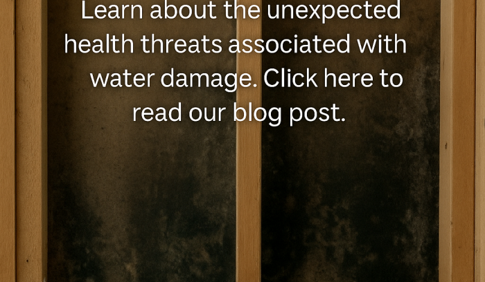 Interior wall cavity with visible mold growth behind removed drywall illustrating the health risks of water damage, featuring the EMERG+NC Property Rescuers logo