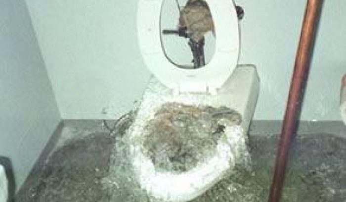 toilet overflowing with sewage